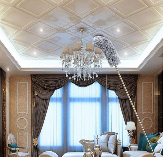 Fan Cleaning Mop Microfiber Duster with Extension Pole(Stainless Steel)